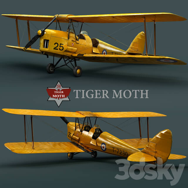 com|tiger moth