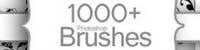mightydeals - 1000-Brushes