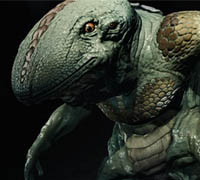 Digital Tutors - Creature Creation in CINEMA 4D R14