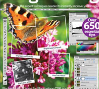 Photoshop Image Editing Genius Guide Vol 2