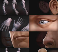 Digital Tutors - Sculpting Human
