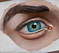 Digital Tutors - Drawing the Human Eye in Photoshop