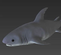 VTC - Autodesk Mudbox 2013 Course