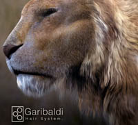 Garibaldi Express Hair System