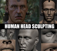 Gumroad - Human Head Sculpting by Peter Zoppi