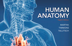 Human Anatomy, Eighth Edition - Martini, Timmons, Tallitsch