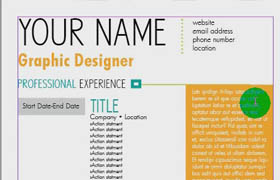 Designing Professional Resumes