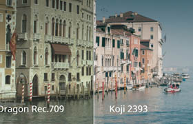 Koji Color: Film Color LUTs Plugins