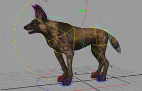 ​Cgsociety - Quadruped Rigging for Games