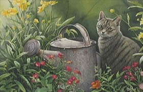 Susan Bourdet - Bold & Beautiful - Backyard Wildlife in Watercolor