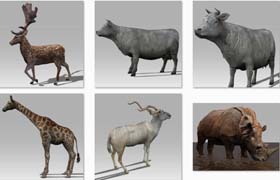 一组9个动物模型合集