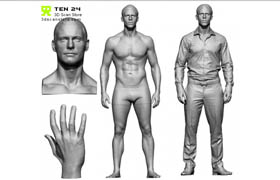 3D Scan Store - Male Anatomy Bundle