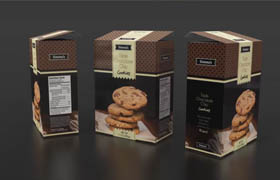 TutsPlus - Design Print-Ready Product Packaging