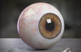 Creating a Realistic Human Eye in CG