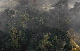 Digital Tutors - Building a Realistic Aerial Forest Scene in 3ds Max