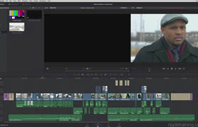 Ripple Training - DaVinci Resolve 12 QuickStart