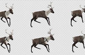 videohive - 9432542 reindeer run pack of 6