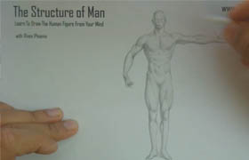 The Structure of Man-Human Proportions Basics