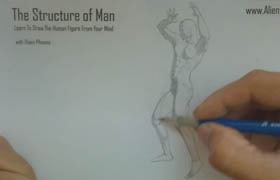 The Structure of Man Figure Sketching Basics