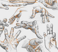 training course - Drawing the Arm & Hand