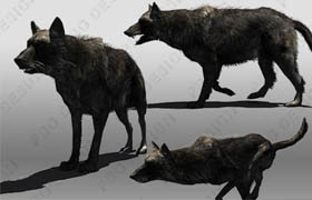 cgtrader - Black Wolf Animated