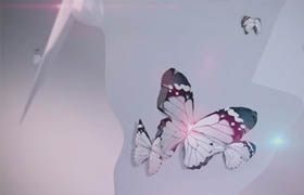 C4D SONY Making Tutorial Butterfly Case