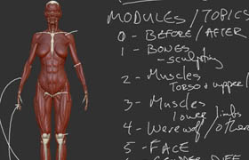 Uartsy - Artistic Anatomy in ZBrush