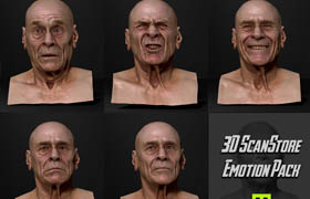 Ten24 3D Scan Store - Expressions Pack