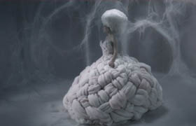 Gnomon - The Making of White Swan