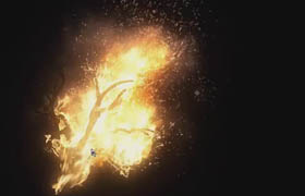 Pluralsight - Simulating a Burning Tree in Maya