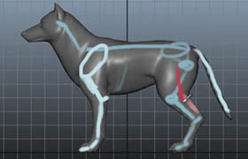 3DMotive - Quadruped Rigging In Maya Volume 1-4