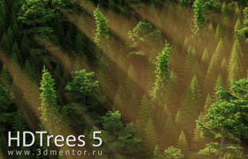 HD Trees Volume 5