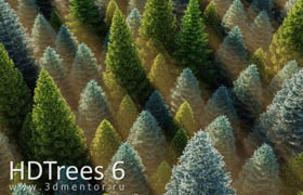 HD Trees Volume 6