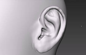 Digital Tutors - Sculpting Human Ears in Mudbox