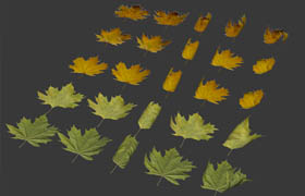 CG-Space - Autumn Leaves Pack 3D Studio Max 2012