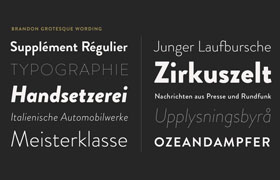 Brandon Grotesque Font Family