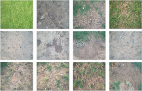 Ground and Grass texture