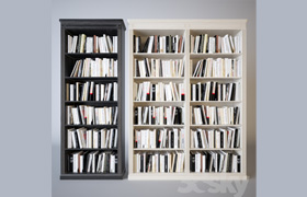 Shelves of books