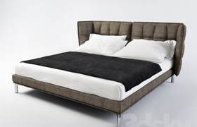 Papilio bed