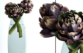 Burgundy Artichokes