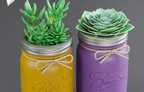 Pot Ball Mason Jar Succulent