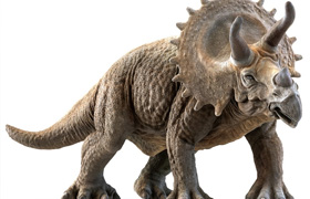 triceratops