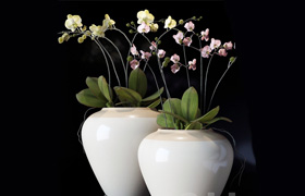 potterybarn, Orchid