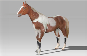 Arteria 3D Brown Horse