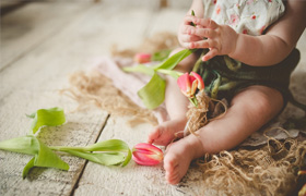 Twig and Olive daydream and rustic presets