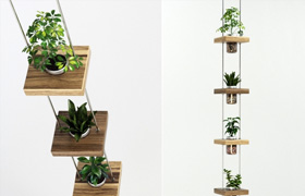 Hanging shelf with flowers