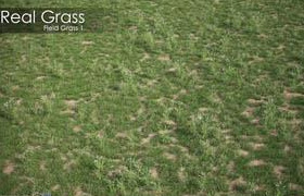 VIZPARK Real Grass
