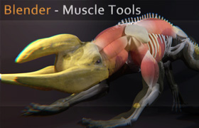 Muscle Tools Add On