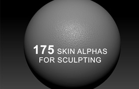 Texturing.xyz - 175 Skin Alphas for Sculpting