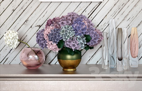 Composition with hydrangeas